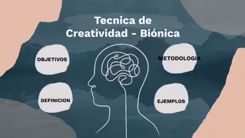 bionica-creatividad