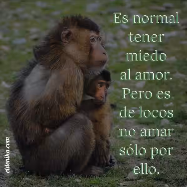 del-miedo-al-amor