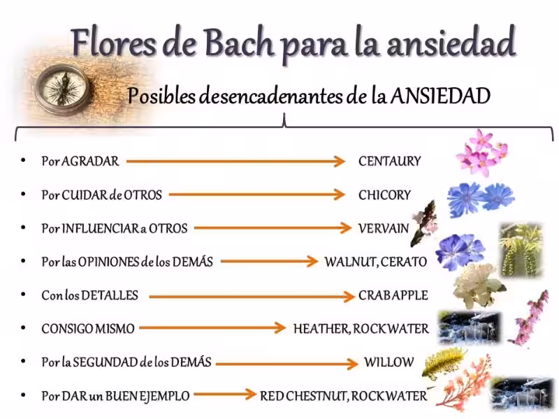 flores-bach-ansiedad
