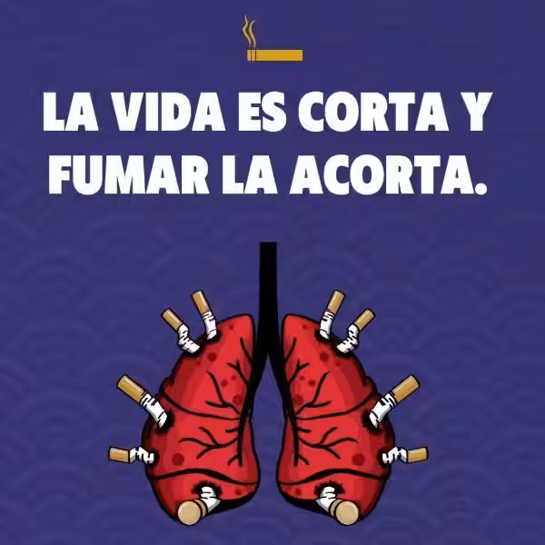 frases-para-fumar