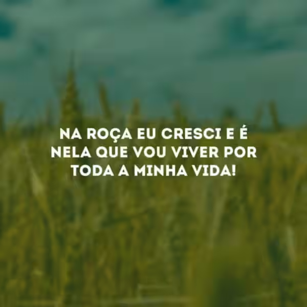 frases-sobre-rocas