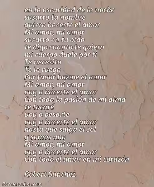 hacer-el-amor-poema