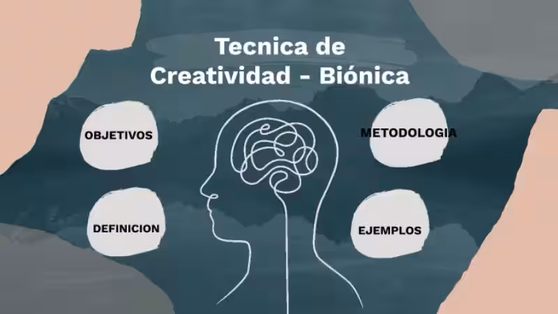 bionica-creatividad