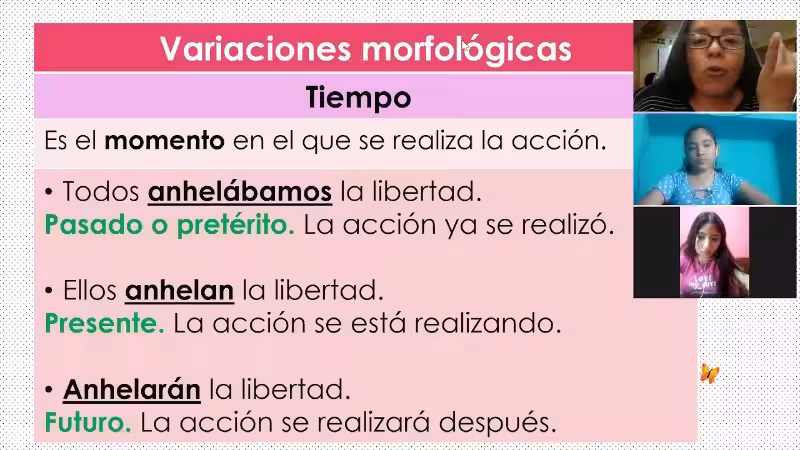 variaciones-morfologicas-del-articulo
